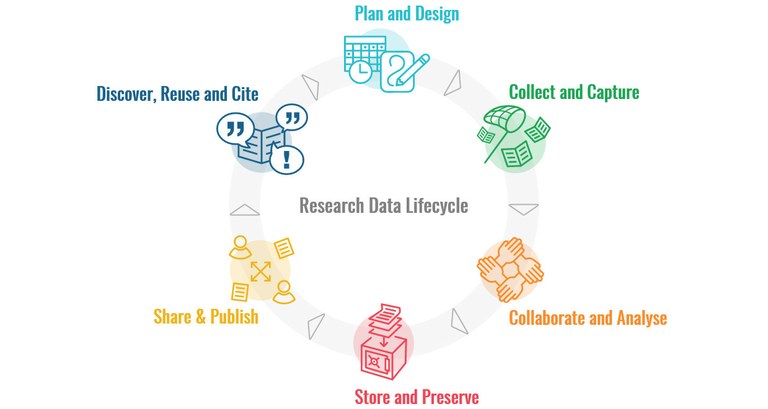 Der Forschungsdaten-Lebenszyklus veranschaulicht das Forschungsdatenmanagement