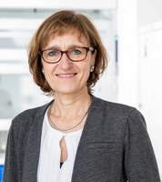 Prof. Bartos Prof. Bartos